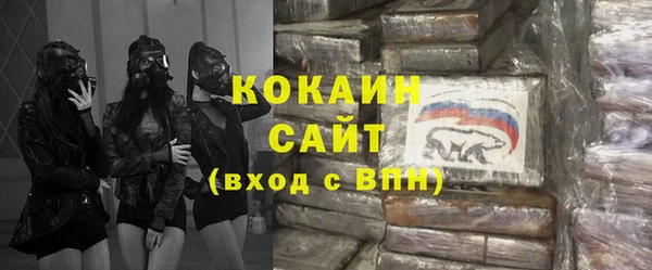 индика Белоозёрский