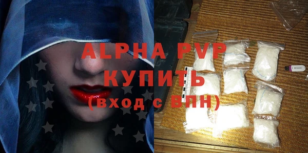 индика Белоозёрский