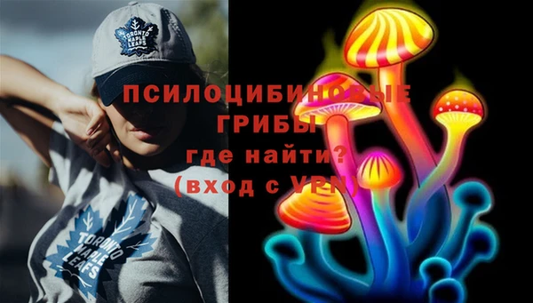MDMA Premium VHQ Богородицк