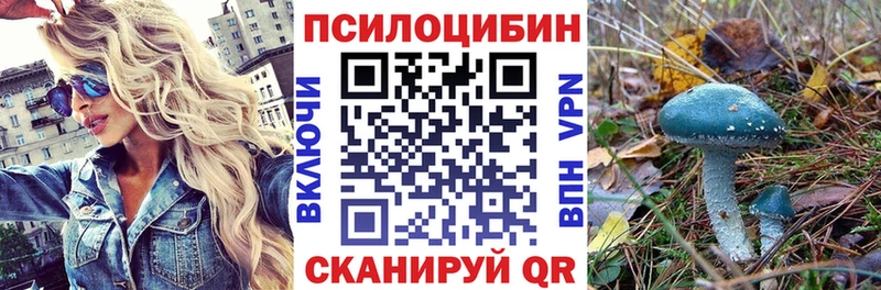 Псилоцибиновые грибы прущие грибы  как найти наркотики  Макаров 