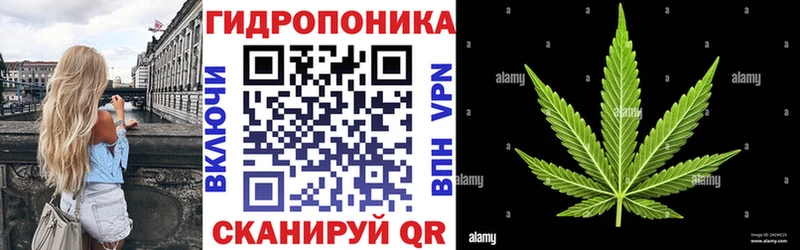 цены   Макаров  Шишки марихуана White Widow 